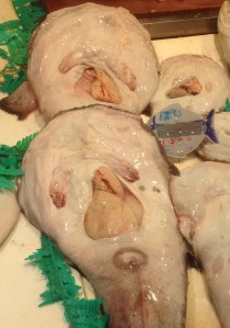 Monk fish @ €13 a kilo