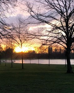 31b37410-e768-4676-9b5d-17866616f9d1