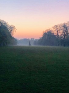 c301a8f4-0baa-4c12-aa01-a4ea2ba89374