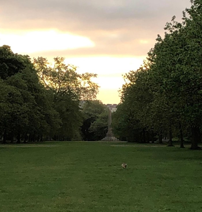 a1a0c3eb-cc42-46c3-a12f-1bacdc020437